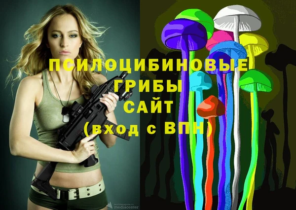 таблы Армянск