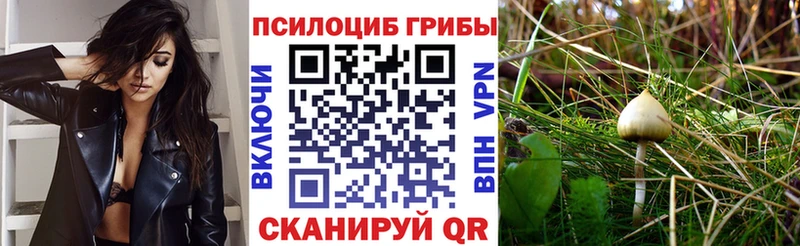 Галлюциногенные грибы ЛСД  blacksprut ТОР  Урай  сколько стоит 
